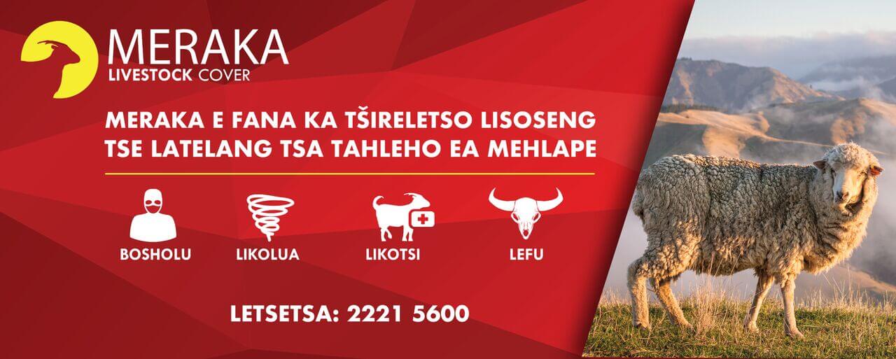 Product banner Meraka Livestock Cover